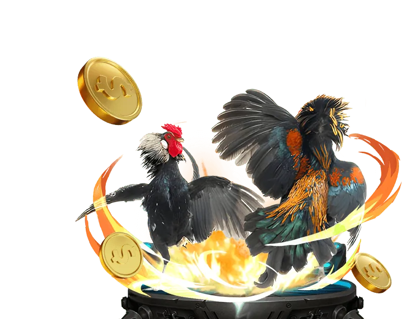 Cộng đồng đá gà 78be.top